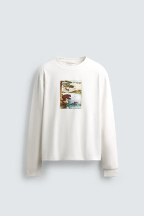 BEAR PRINT T-SHIRT - Image 6