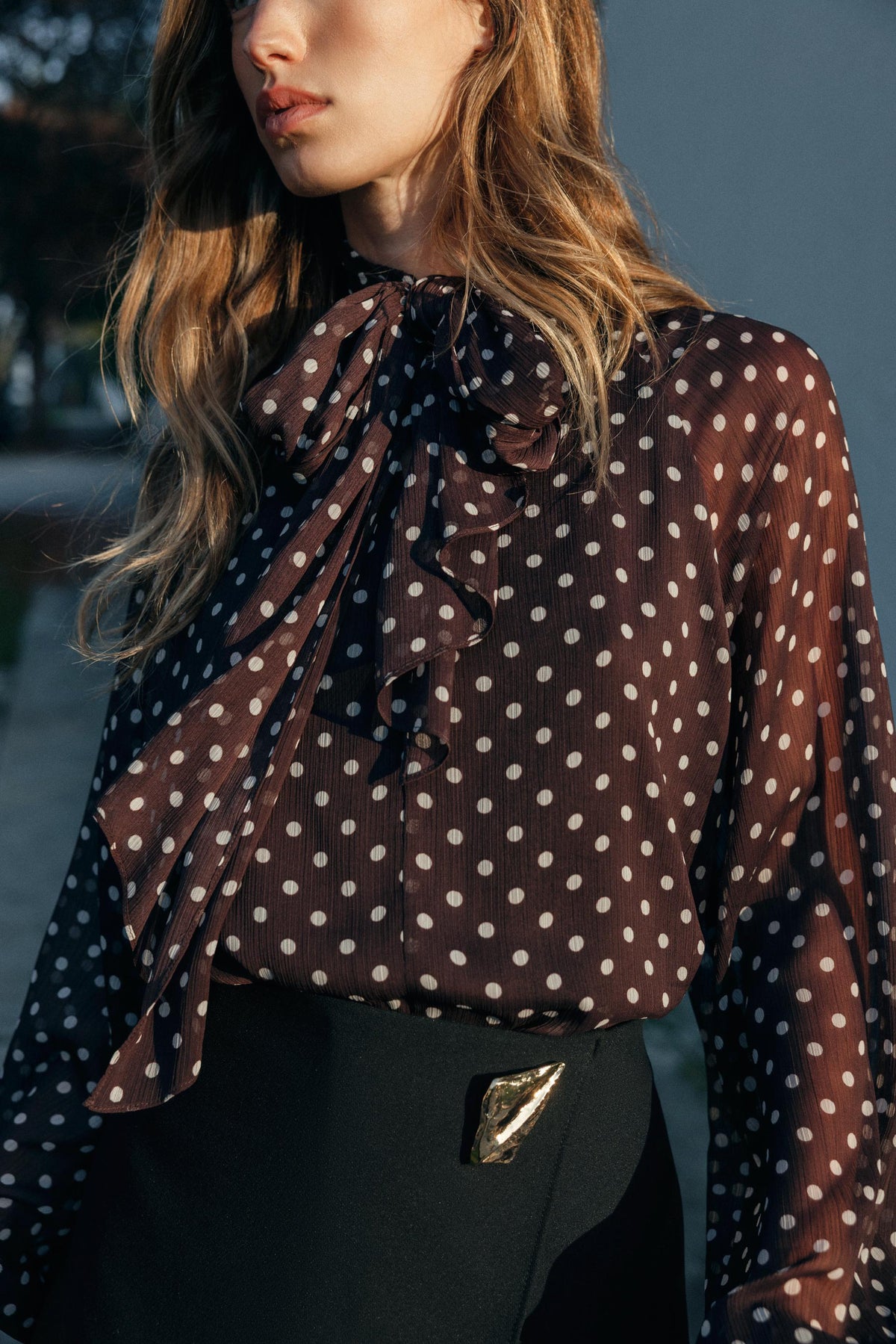 Polka Dot Blouse
