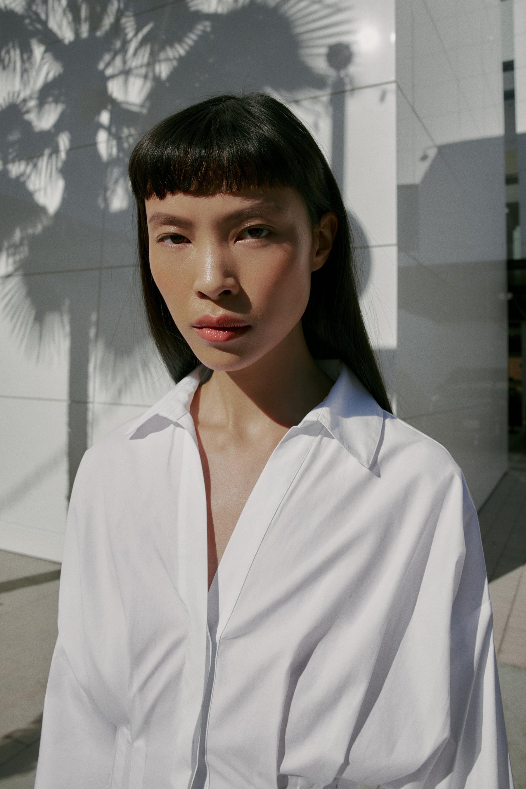 Pleated Poplin Shirt