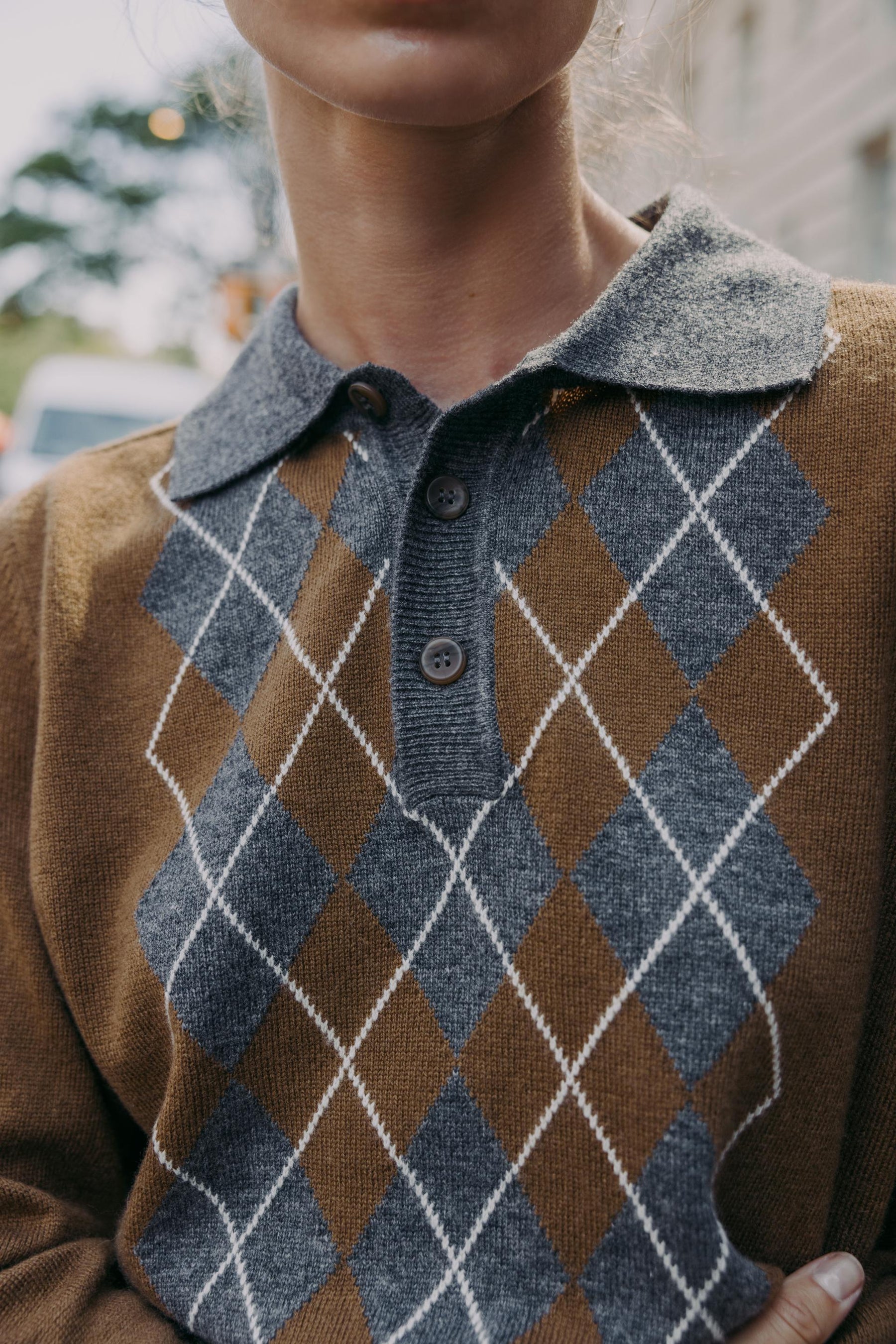 Argyle Knit Polo Shirt