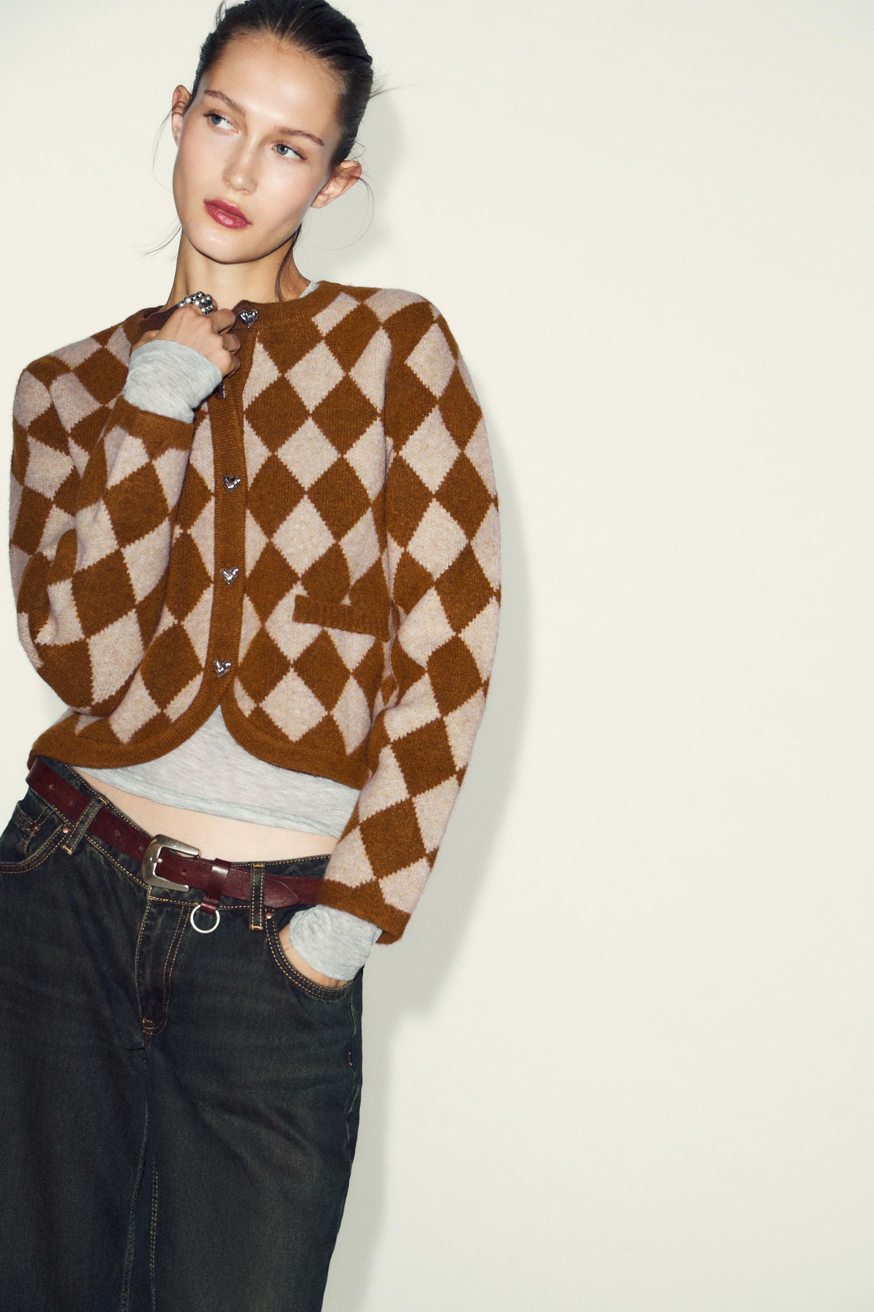 Argyle Knit Cardigan