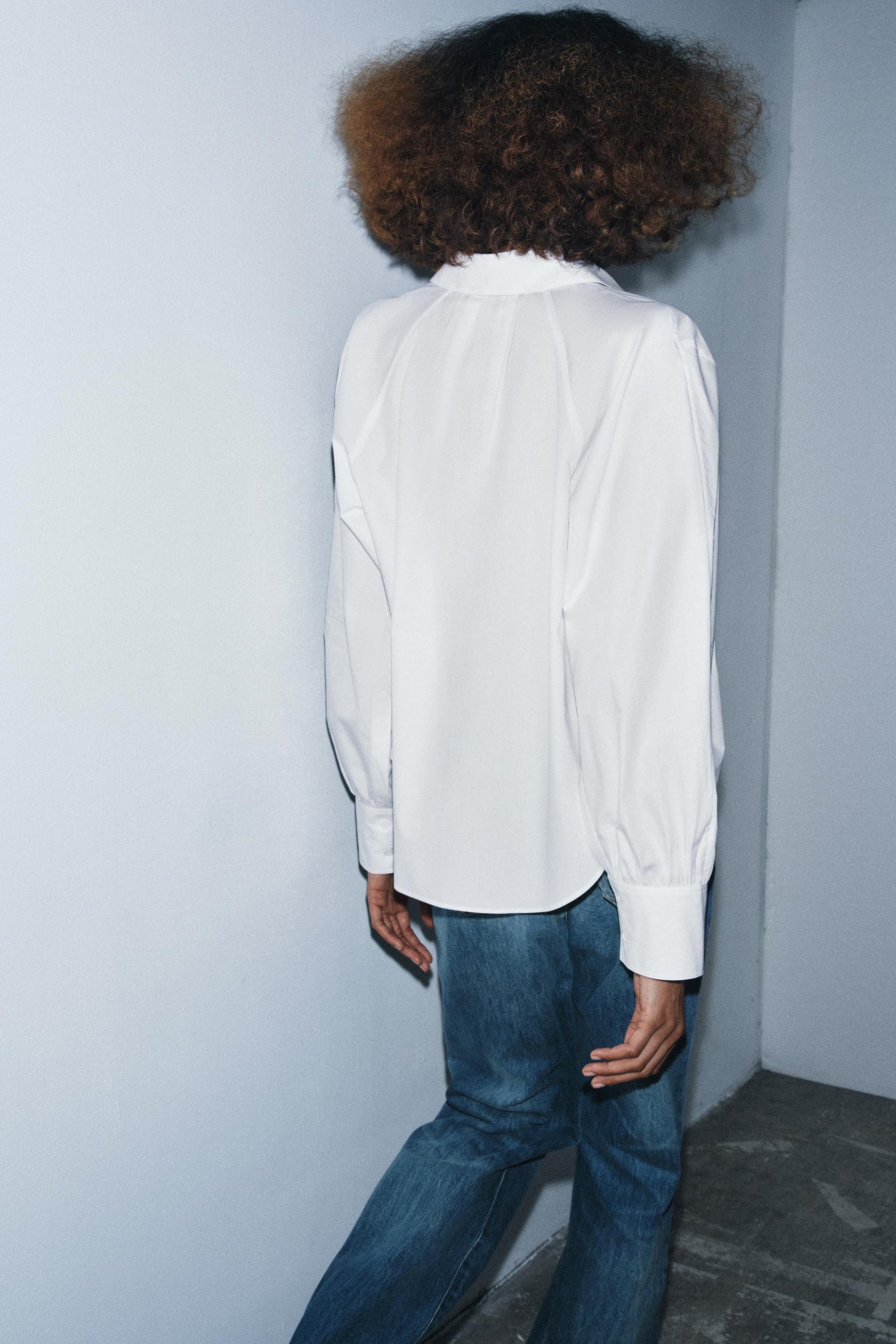 Pleated Poplin Shirt